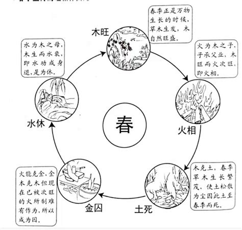 木相|六爻断卦的必备知识（一）：五行的旺相休囚死与十二。